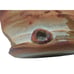 Wood Fired Studio Art Pottery Artist Marked Teapot