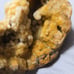 Aquarium Rock Decor