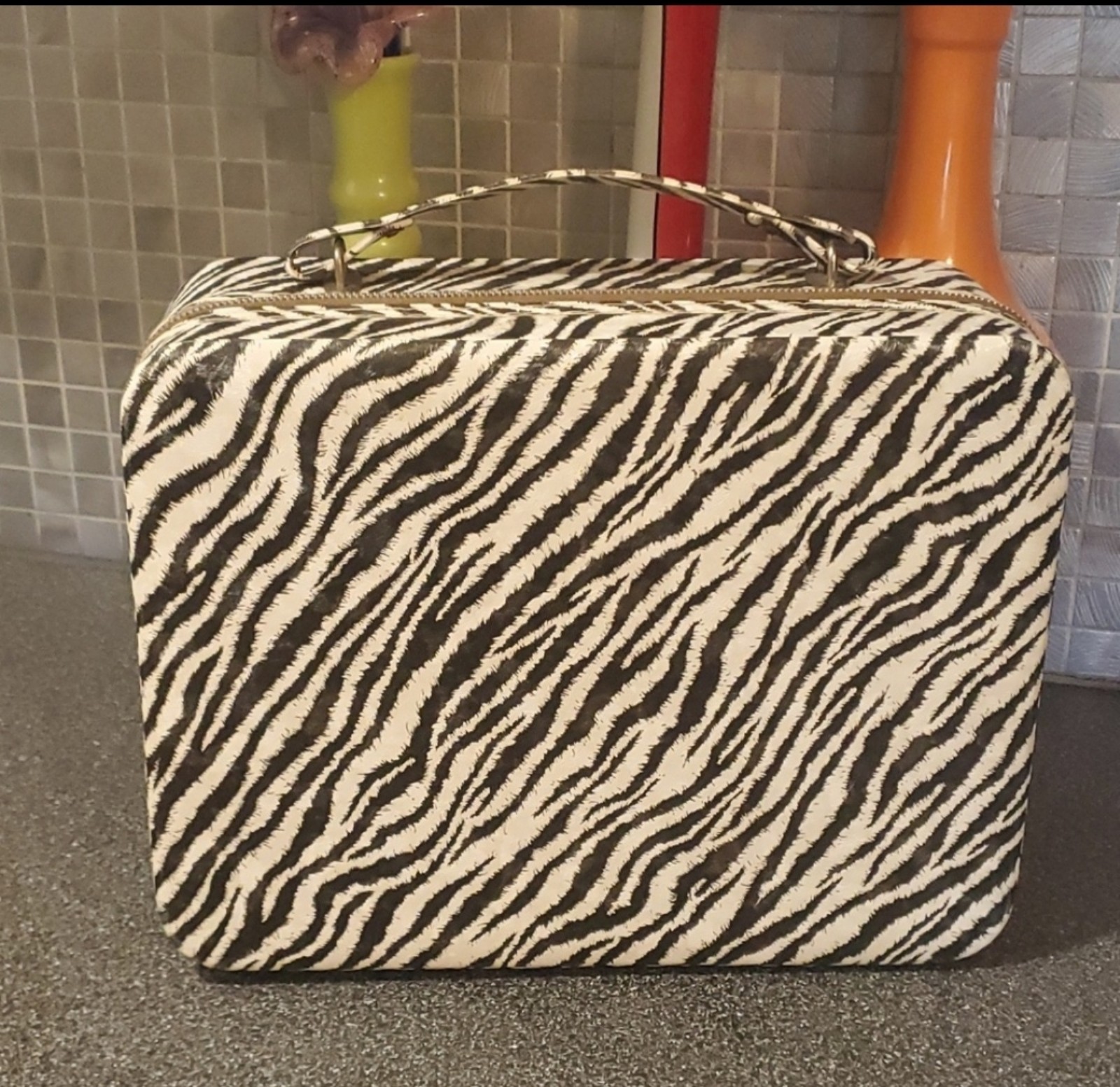 Vintage Travel Case
