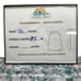 LuLaRoe Cassie Bundle of 3 Womens L Skirts Pencil Multicolor NWT #6352