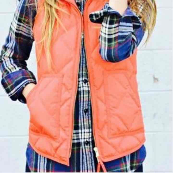 J Crew Vest