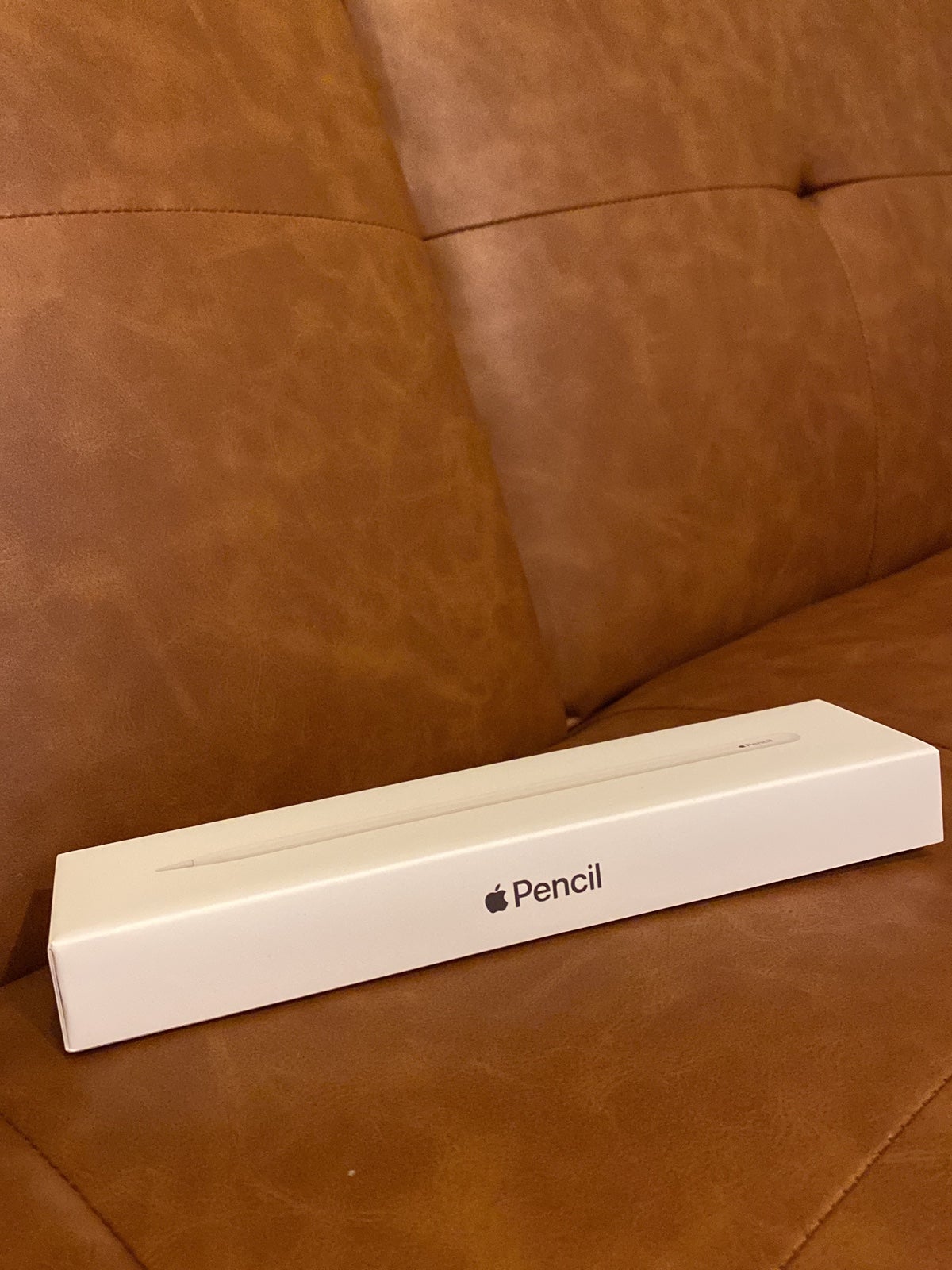 Apple Pencil (2nd Generation)
