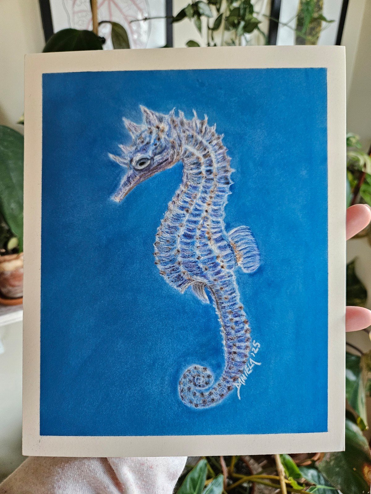 8x10 inch sea horse in pan pastel