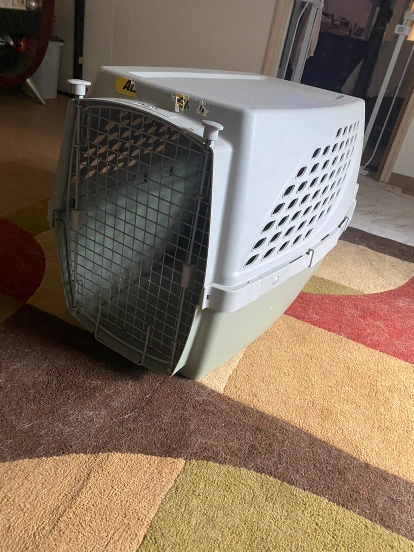 Medium Dog Cage