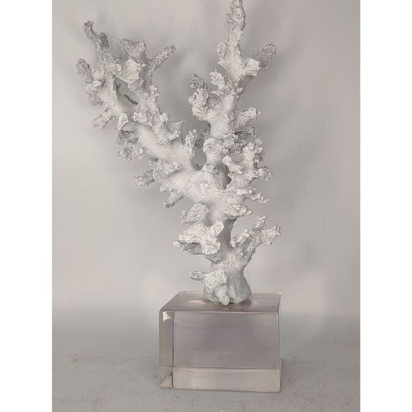 White Coral sculpture on a Lucite stand.