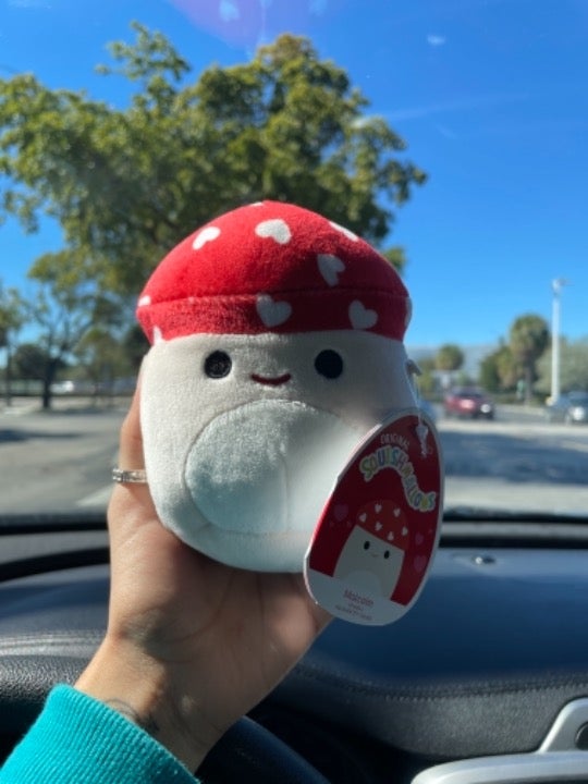 Malcolm mushroom Valentine’s Day squishmallow