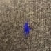 Polo RL v neck sweater