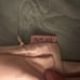 Set of 3 Kitsch Silk Pillowcases