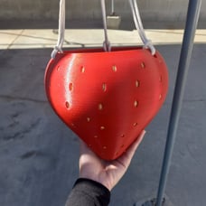 Strawberry planter
