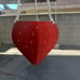 Strawberry planter