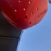 Strawberry planter