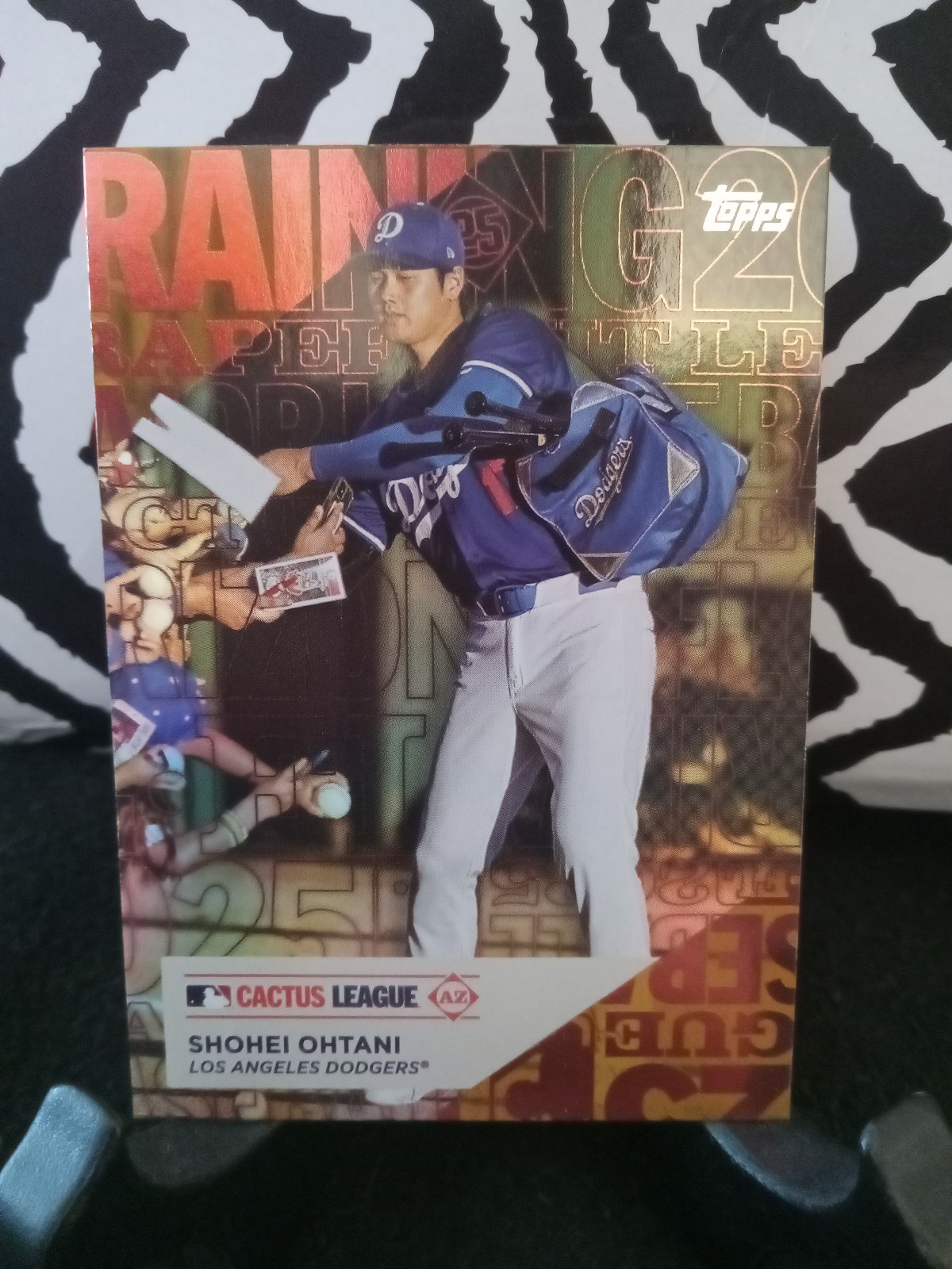 Shohei Ohtani Training Grounds /50