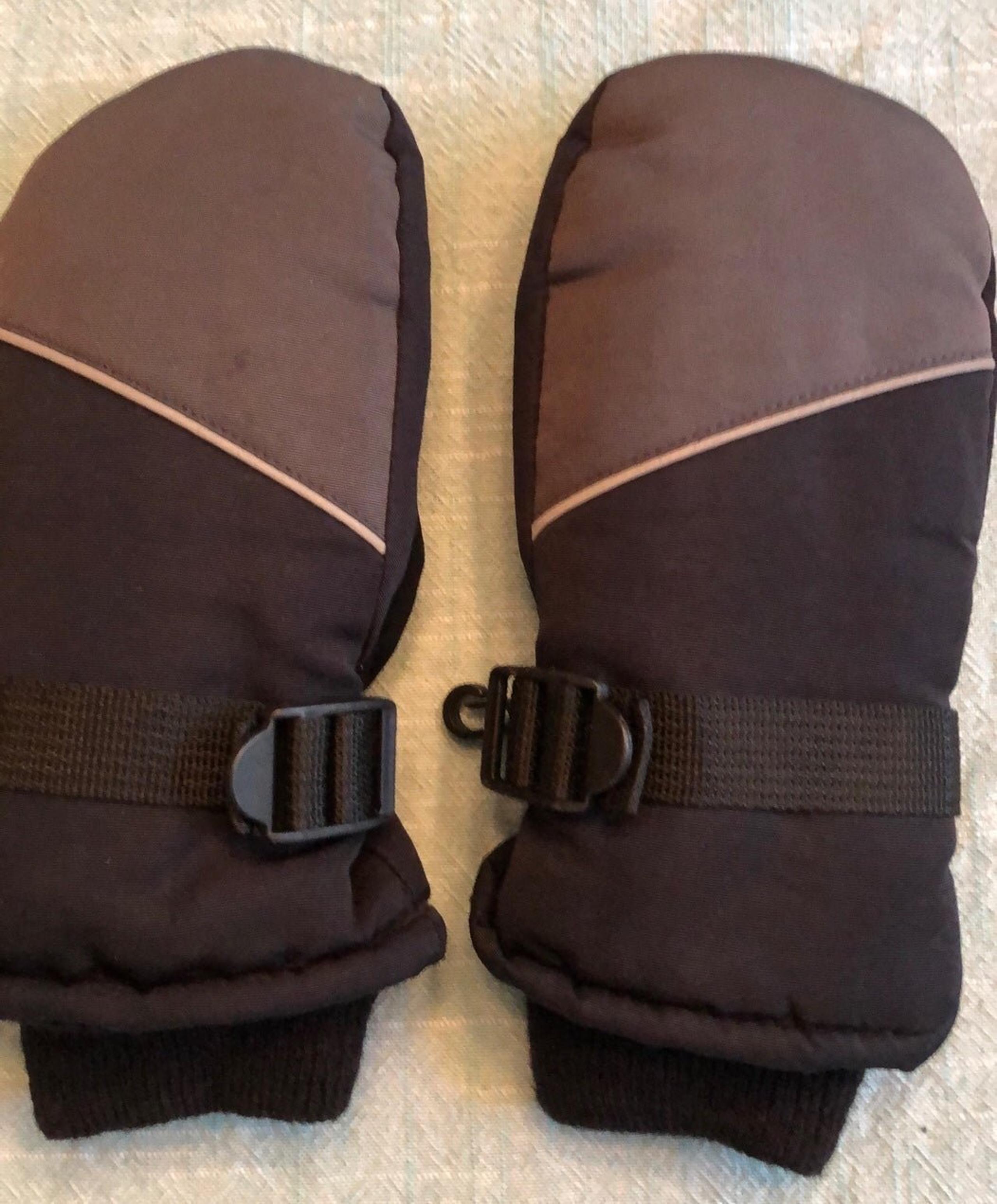 Champion thinsulate mittens