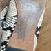 Banana Republic Snake Skin Bow Flats