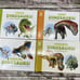 Set of 4 Dinosaur Educational Books by World Book 48 Pages Each NEW