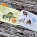 Set of 4 Dinosaur Educational Books by World Book 48 Pages Each NEW
