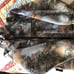 Kings camo USA made real tree winter fleece coat flannel hunting carhartt
