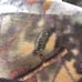 Kings camo USA made real tree winter fleece coat flannel hunting carhartt