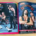 WWF Magazine December 1995 Bret Hart & Diesel Cover With Cards & Cutout WWE Rare