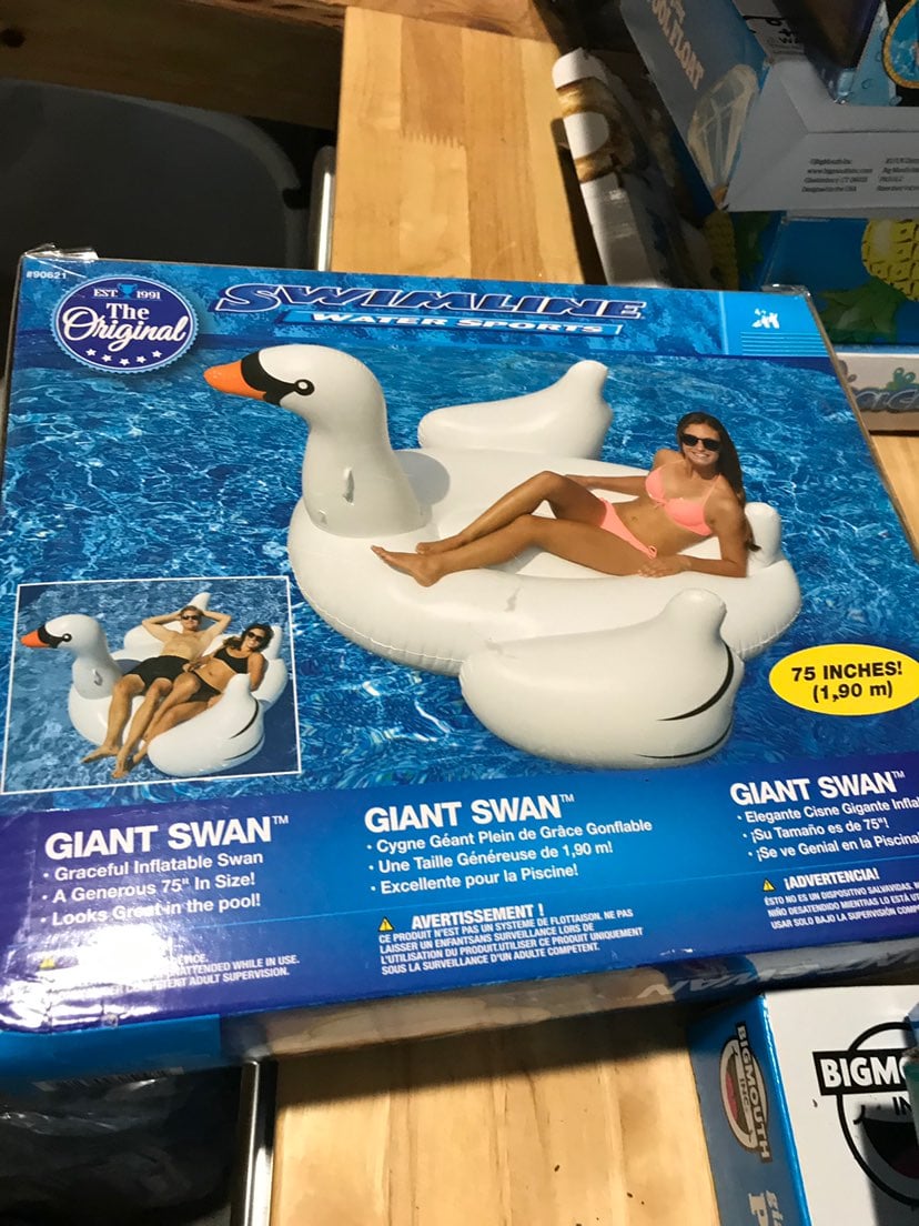 pool float