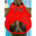 Sexy Lingerie School Girl Student Adult