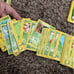 Pokemon card Grass type lot