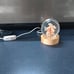 Flower Crystal Ball Night Light 2.4 inch Glass (Dandelion)