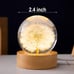 Flower Crystal Ball Night Light 2.4 inch Glass (Dandelion)