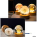 Flower Crystal Ball Night Light 2.4 inch Glass (Dandelion)
