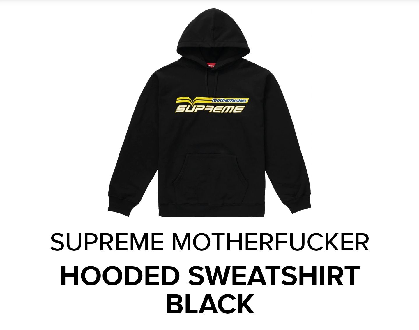 RARE 2019 SUPREME HOODIE HOODED SWEATSHI