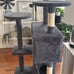 Cat Tree Tower