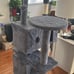 Cat Tree Tower