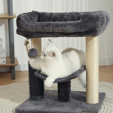 cat tree