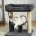 cat tree
