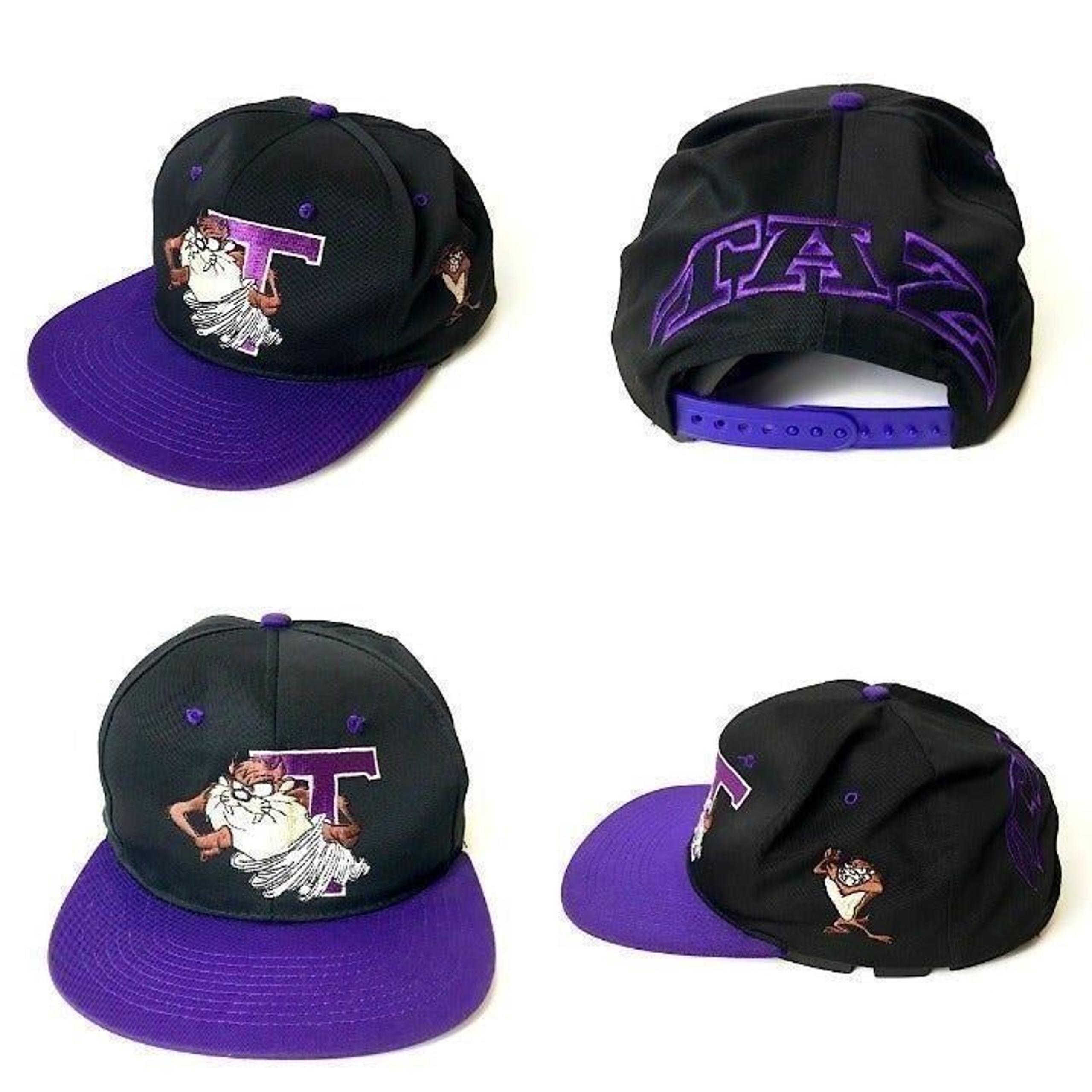 90s VINTAGE 1993 Tasmanian Taz Devil Snapback Looney Tunes Hat Cap Toons - Urban Outfitters
