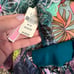 Women’s Panties Lot