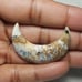 Dendrite Opal Moon Shape-MSL-5