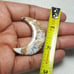 Dendrite Opal Moon Shape-MSL-5