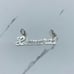 ❤️ Real 925 Sterling Silver pendant Name plate lionardo