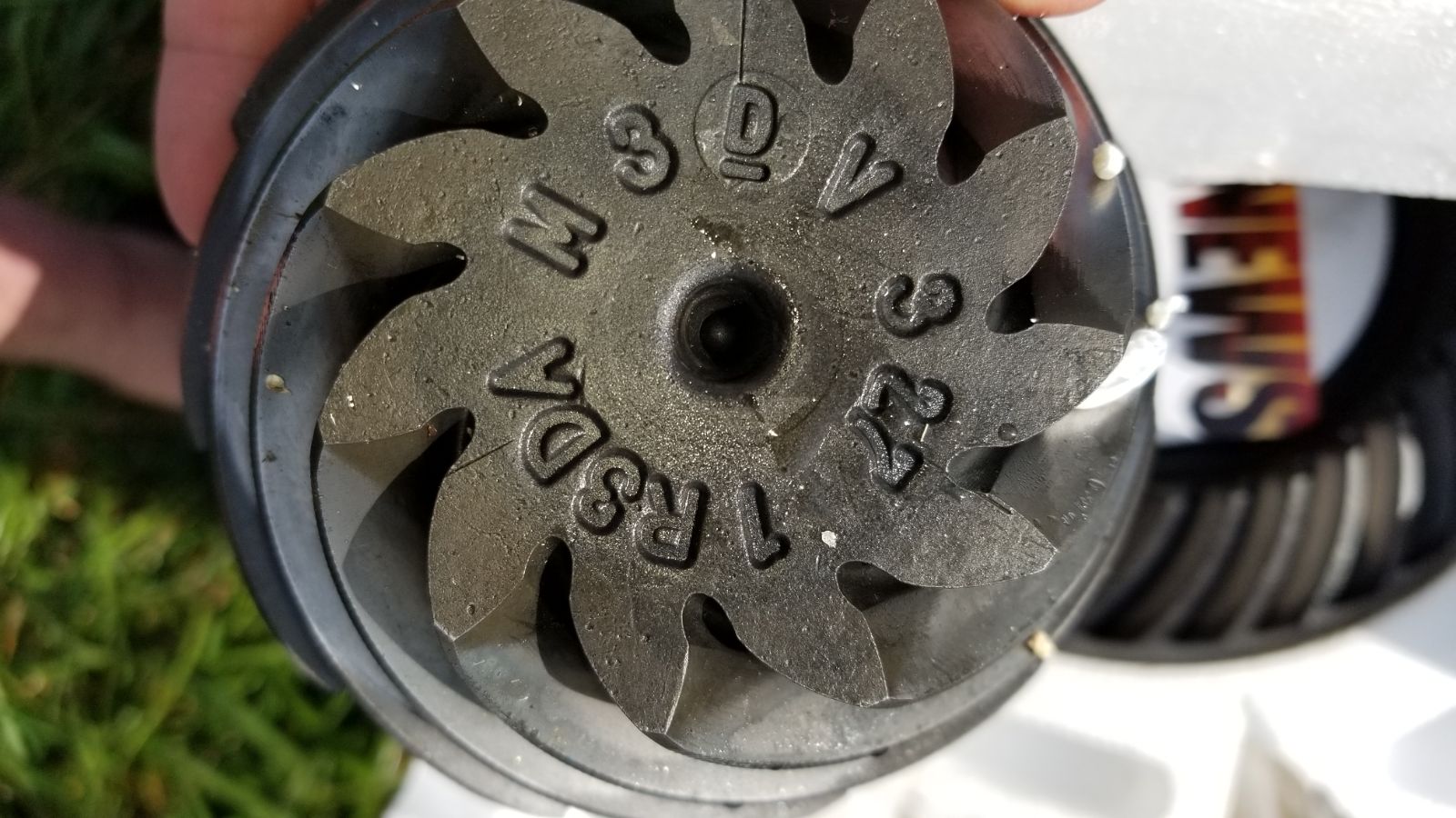 Ring and Pinion Ford Mustang Racing with