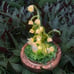 Lily Of The Valley Lamp-Handmade Flower Lamp-Rabbit Night Lamp-Dreamy and Romant
