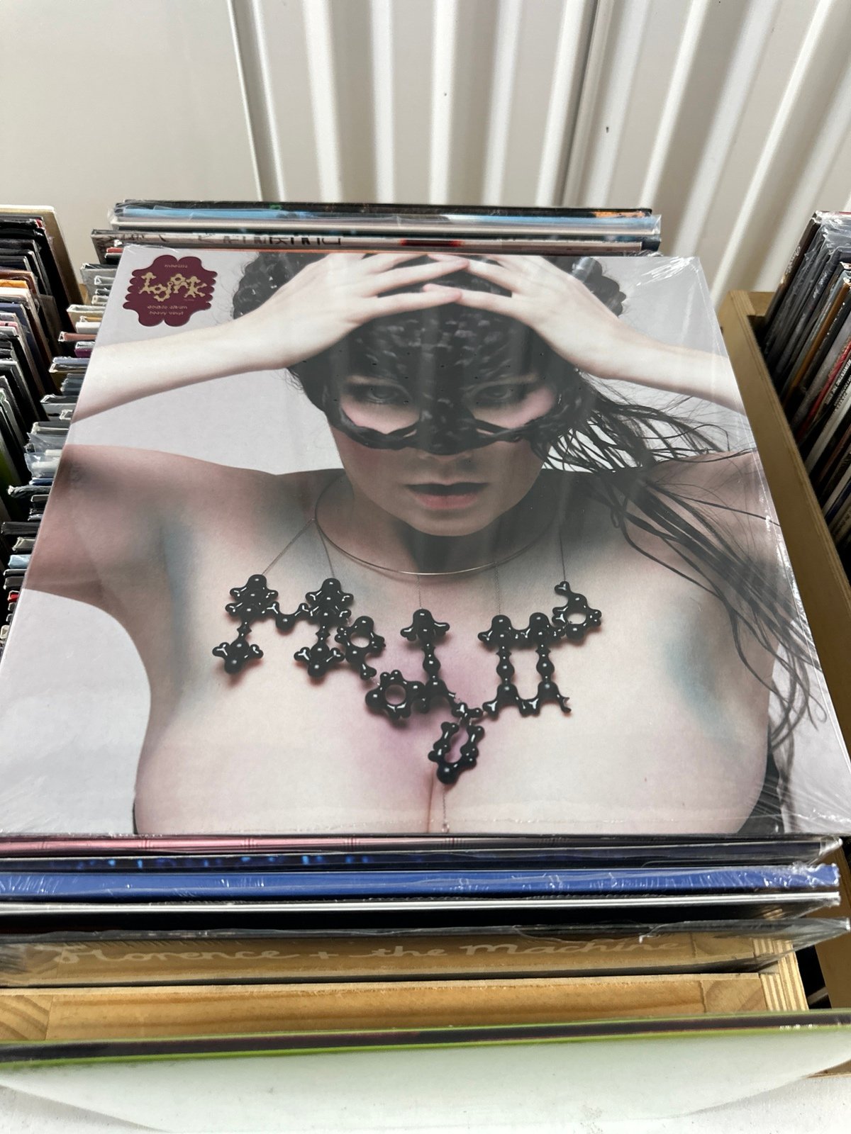 Bjork - Medulla vinyl record