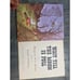 MARGARET WISE BROWN * GARTH WILLIAMS * WAIT TILL THE MOON IS FULL * 1948 * HB