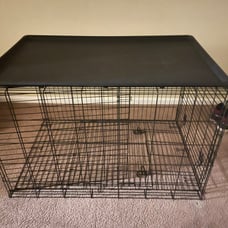 Big dog kennel