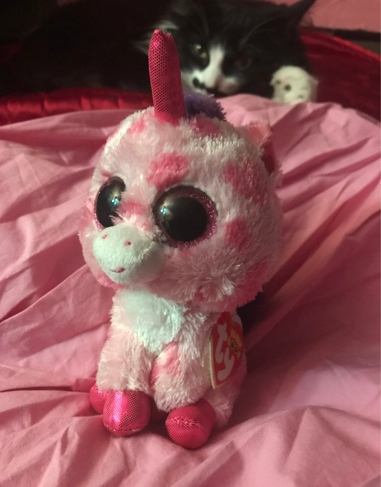 Ty Beanie Boo SUGAR PIE