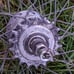 Vintage 3 Speed Bicycle Rear Rim Sears Roebuck And Co Chrome Rear Rim Only