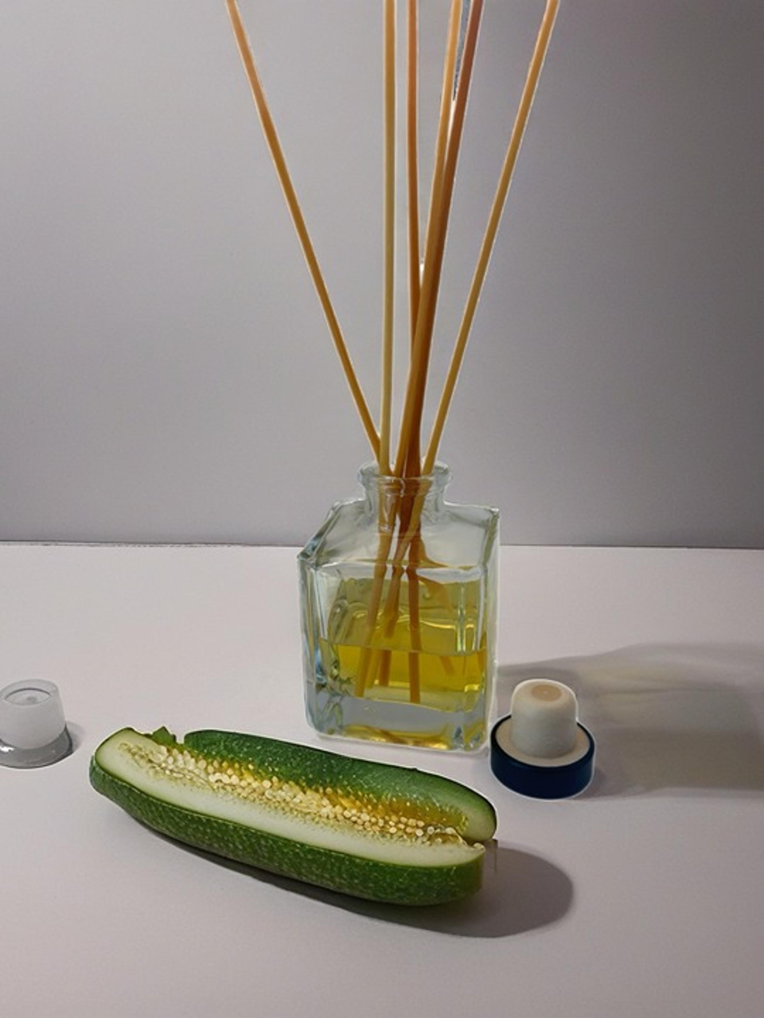 Reed Diffuser Set Cucumber Water/Melon with 8 Rattan Reeds/Clear Glass Cube Jar