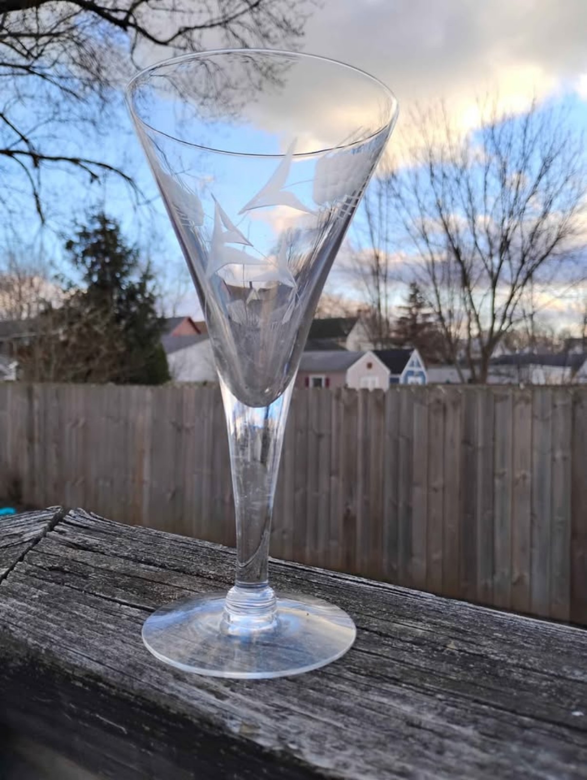 Set of 4 Vintage Etched 7.5-inch Tall Liquor Glasses