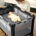 baby carriage baby bedroom， tasha