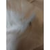 NWT Selfie Leslie Grayson Tied Back Asymmetrical Midi Dress Champagne Small READ